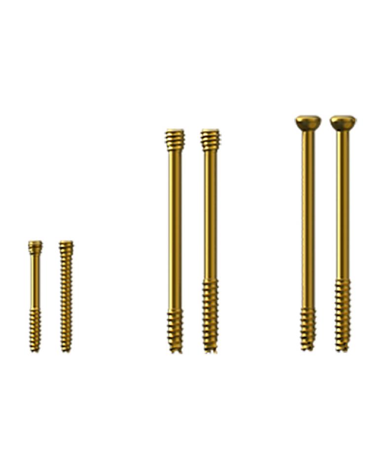 Tornillos Canulados